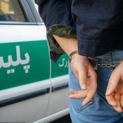 سارق به عنف تبعه خارجی در مقابل پلیس به زانو درآمد